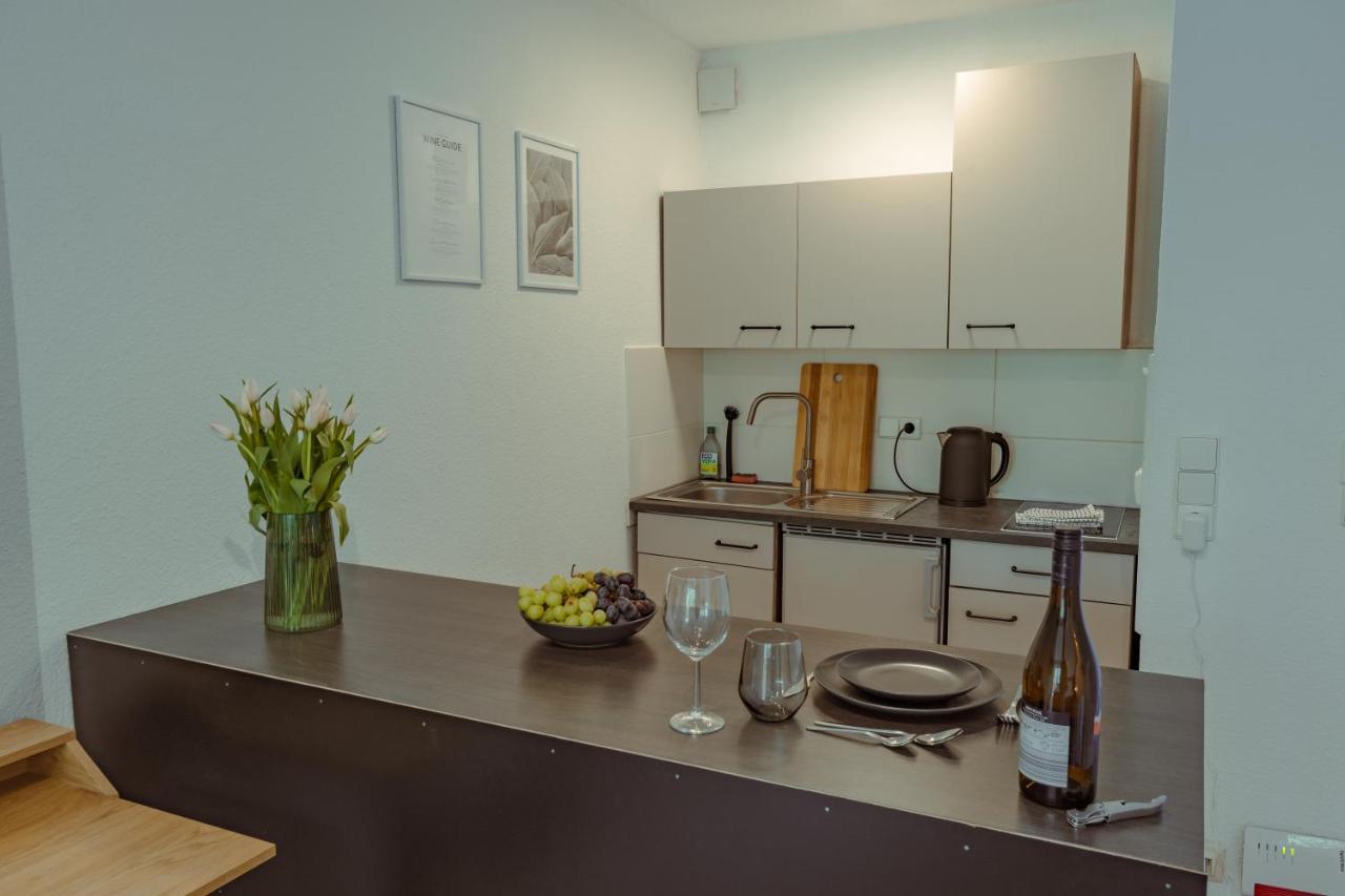 Studio Apartment Mit Parkplatz Oberesslingen Екстериор снимка